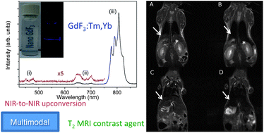 Graphical abstract: PEG-capped, lanthanide doped GdF3 nanoparticles: luminescent and T2 contrast agents for optical and MRI multimodal imaging