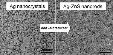 Graphical abstract: Size- and shape-dependent growth of fluorescent ZnS nanorods and nanowires using Ag nanocrystals as seeds