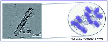 Graphical abstract: Surface chemical functionalization of single walled carbon nanotubes with a bacteriorhodopsin mutant