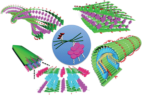 Graphical abstract: A model for the controlled assembly of semiconductor peptides