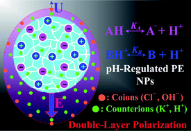 Graphical abstract: Electrokinetics of pH-regulated zwitterionic polyelectrolyte nanoparticles