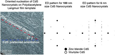 Graphical abstract: Nanometer size effects in nucleation, growth and characterization of templated CdS nanocrystal assemblies