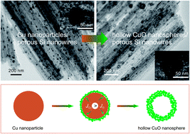 Graphical abstract: Hollow CuO nanospheres uniformly anchored on porous Si nanowires: preparation and their potential use as electrochemical sensors