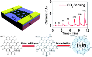 Graphical abstract: Edge-tailored graphene oxide nanosheet-based field effect transistors for fast and reversible electronic detection of sulfur dioxide