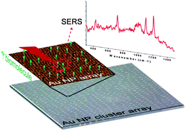 Graphical abstract: Microarrays of gold nanoparticle clusters fabricated by Stop&Go convective self-assembly for SERS-based sensor chips