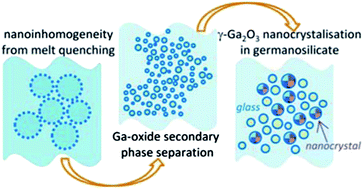 Graphical abstract: Native amorphous nanoheterogeneity in gallium germanosilicates as a tool for driving Ga2O3 nanocrystal formation in glass for optical devices