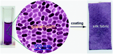 Graphical abstract: Coating fabrics with gold nanorods for colouring, UV-protection, and antibacterial functions