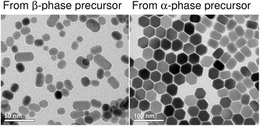 Graphical abstract: Effect of the crystal structure of small precursor particles on the growth of β-NaREF4 (RE = Sm, Eu, Gd, Tb) nanocrystals