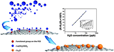 Graphical abstract: Stable Cu2O nanocrystals grown on functionalized graphene sheets and room temperature H2S gas sensing with ultrahigh sensitivity