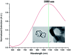 Graphical abstract: Synthesis and NIR optical properties of hollow gold nanospheres with LSPR greater than one micrometer