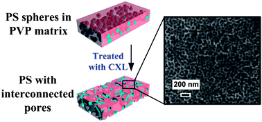 Graphical abstract: Formation of nanoscale networks: selectively swelling amphiphilic block copolymers with CO2-expanded liquids