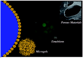 Graphical abstract: Microgel particles at the fluid–fluid interfaces