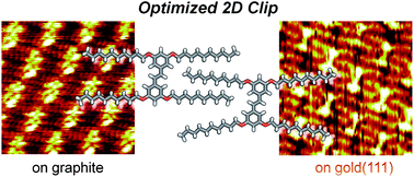Graphical abstract: An optimized alkyl chain-based binding motif for 2D self-assembly: a comprehensive crystallographic approach