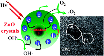 Graphical abstract: Novel hollow Pt-ZnO nanocomposite microspheres with hierarchical structure and enhanced photocatalytic activity and stability