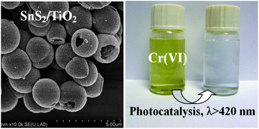 Graphical abstract: Mesoporous yolk–shell SnS2–TiO2 visible photocatalysts with enhanced activity and durability in Cr(vi) reduction