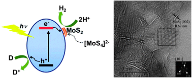 Graphical abstract: In situ photo-assisted deposition of MoS2 electrocatalyst onto zinc cadmium sulphide nanoparticle surfaces to construct an efficient photocatalyst for hydrogen generation