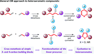 Graphical abstract: Olefin cross-metathesis for the synthesis of heteroaromatic compounds