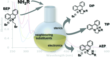 Graphical abstract: Switching between ring closed and open N-incorporated heterocycles with tuneable charges and modular reactivity based upon 5-(2-bromoethyl)phenanthridinium bromide