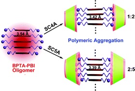 Graphical abstract: Calixarene-induced aggregation of perylene bisimides