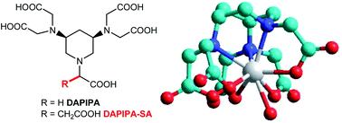 Graphical abstract: One-pot synthesis of a piperidine-based rigidified DTPA analogue and its bifunctional chelating agent