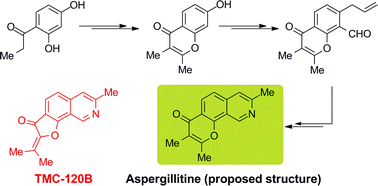 Graphical abstract: Synthesis of the unique angular tricyclic chromone structure proposed for aspergillitine, and its relationship with alkaloid TMC-120B