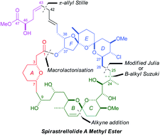 Graphical abstract: The stereocontrolled total synthesis of spirastrellolide A methyl ester. Fragment coupling studies and completion of the synthesis