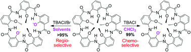 Graphical abstract: Folding-promoted TBAX-mediated selective demethylation of methoxybenzene-based macrocyclic aromatic pentamers