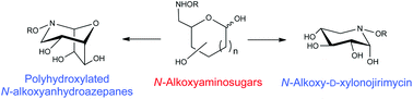 Graphical abstract: Intramolecular cyclization of alkoxyaminosugars: access to novel glycosidase inhibitor families