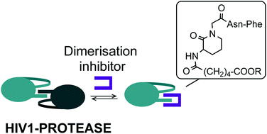 Graphical abstract: Applications of 3-aminolactams: design, synthesis, and biological evaluation of a library of potential dimerisation inhibitors of HIV1-protease