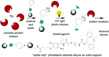 Graphical abstract: Strategy for catch and release of azide-tagged biomolecules utilizing a photolabile strained alkyne construct