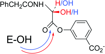 Graphical abstract: Kinetics and stereochemistry of hydrolysis of an N-(phenylacetyl)-α-hydroxyglycine ester catalyzed by serine β-lactamases and dd-peptidases