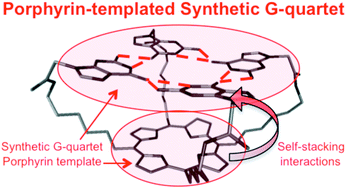Graphical abstract: Porphyrin-templated synthetic G-quartet (PorphySQ): a second prototype of G-quartet-based G-quadruplex ligand