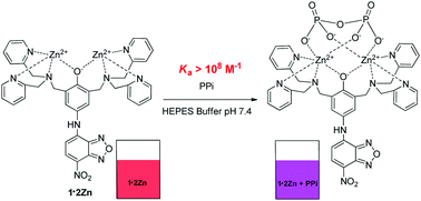 Graphical abstract: Highly selective colorimetric sensing pyrophosphate in water by a NBD-phenoxo-bridged dinuclear Zn(ii) complex
