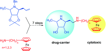 Graphical abstract: Iminosugar–ferrocene conjugates as potential anticancer agents