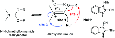 Graphical abstract: Study of N1-alkylation of indoles from the reaction of 2(or 3)-aminoindole-3-(or 2)carbonitriles with DMF-dialkylacetals