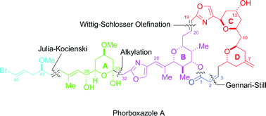 Graphical abstract: Total synthesis of the marine toxin phorboxazole A using palladium(ii)-mediated intramolecular alkoxycarbonylation for tetrahydropyran synthesis