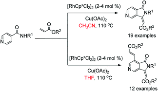 Graphical abstract: Rhodium(iii)-catalyzed oxidative mono- and di-olefination of isonicotinamides