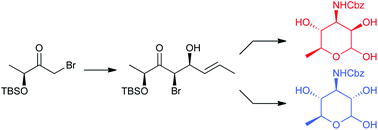 Graphical abstract: Stereoselective synthesis of protected 3-amino-3,6-dideoxyaminosugars