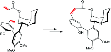 Graphical abstract: Asymmetric synthesis of (+)-vertine and (+)-lythrine