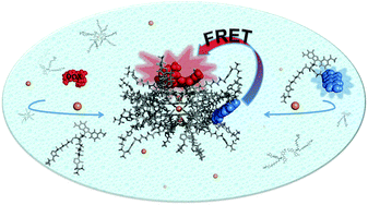 Graphical abstract: An aquatic host–guest complex between a supramolecular G-quadruplex and the anticancer drug doxorubicin