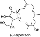 Graphical abstract: A convergent stereocontrolled total synthesis of (−)-terpestacin