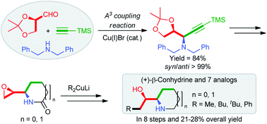 Graphical abstract: Diastereoselective construction of syn-α-oxyamines via three-component α-oxyaldehyde–dibenzylamine–alkyne coupling reaction: application in the synthesis of (+)-β-conhydrine and its analogues