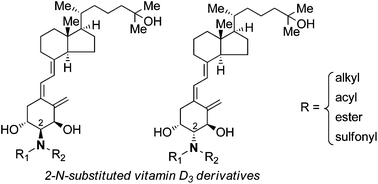 Graphical abstract: Synthesis of vitamin D3 derivatives with nitrogen-linked substituents at A-ring C-2 and evaluation of their vitamin D receptor-mediated transcriptional activity