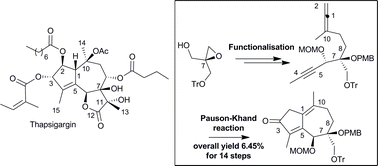 Graphical abstract: Asymmetric synthesis of a highly functionalized enantioenriched system close to thapsigargin framework