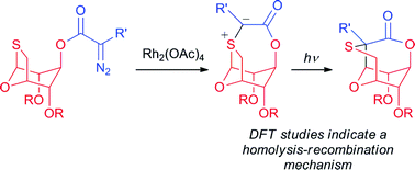Graphical abstract: Inter- and intramolecular reactions of 1-deoxy-1-thio-1,6-anhydrosugars with α-diazoesters: synthesis of the tagetitoxin core by photochemical ylide rearrangement