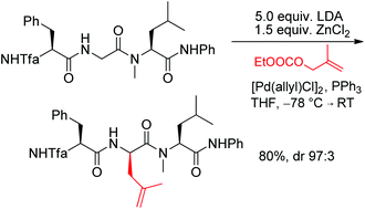 Graphical abstract: Highly stereoselective modifications of peptides via Pd-catalyzed allylic alkylation of internal peptide amide enolates