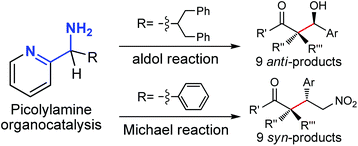 Graphical abstract: Chiral picolylamines for Michael and aldol reactions: probing substrate boundaries