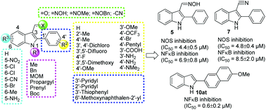 Graphical abstract: Synthesis of 2-arylindole derivatives and evaluation as nitric oxide synthase and NFκB inhibitors
