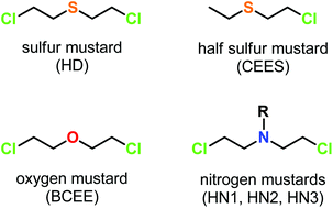 Graphical abstract: Sulfur, oxygen, and nitrogen mustards: stability and reactivity