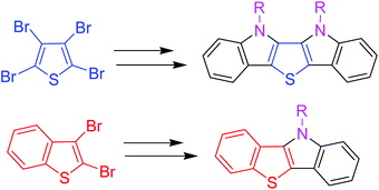 Graphical abstract: Efficient synthesis of thieno[3,2-b:4,5-b′]diindoles and benzothieno[3,2-b]indoles by Pd-catalyzed site-selective C–C and C–N coupling reactions